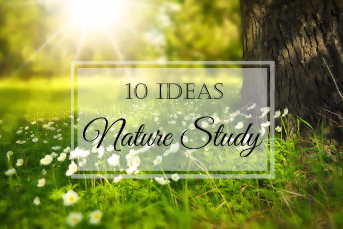 10 Ideas for Nature Study