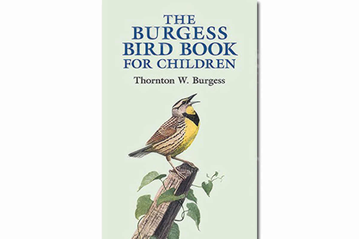 Burgess Bird Book {Free eBook & Activities}