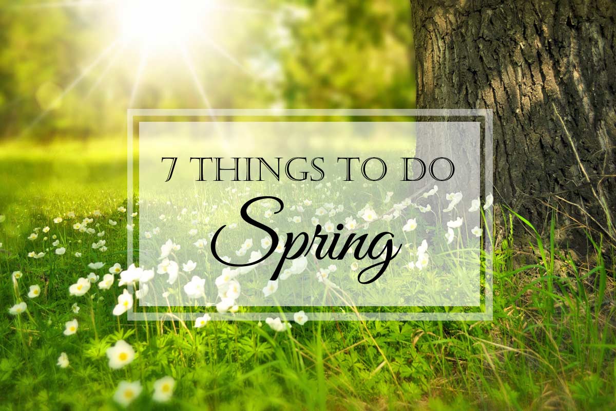 7 Things to Do This Spring
