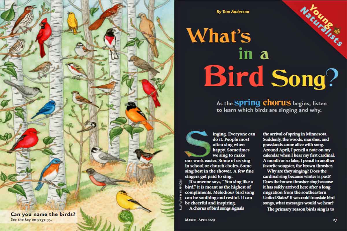 What’s In a Bird Song? ~ Free Download