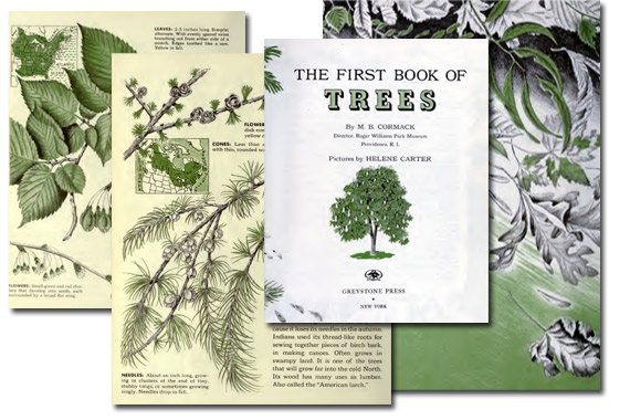 The First Book of Trees {Free eBook}