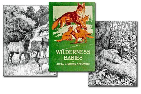Wilderness Babies {Free eBook}