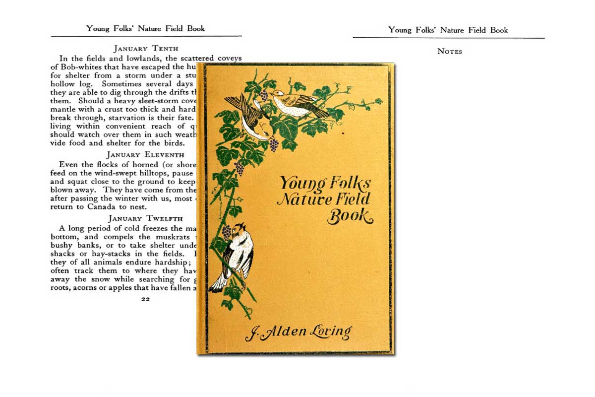 Young Folks' Nature Field Book ~ Free eBook