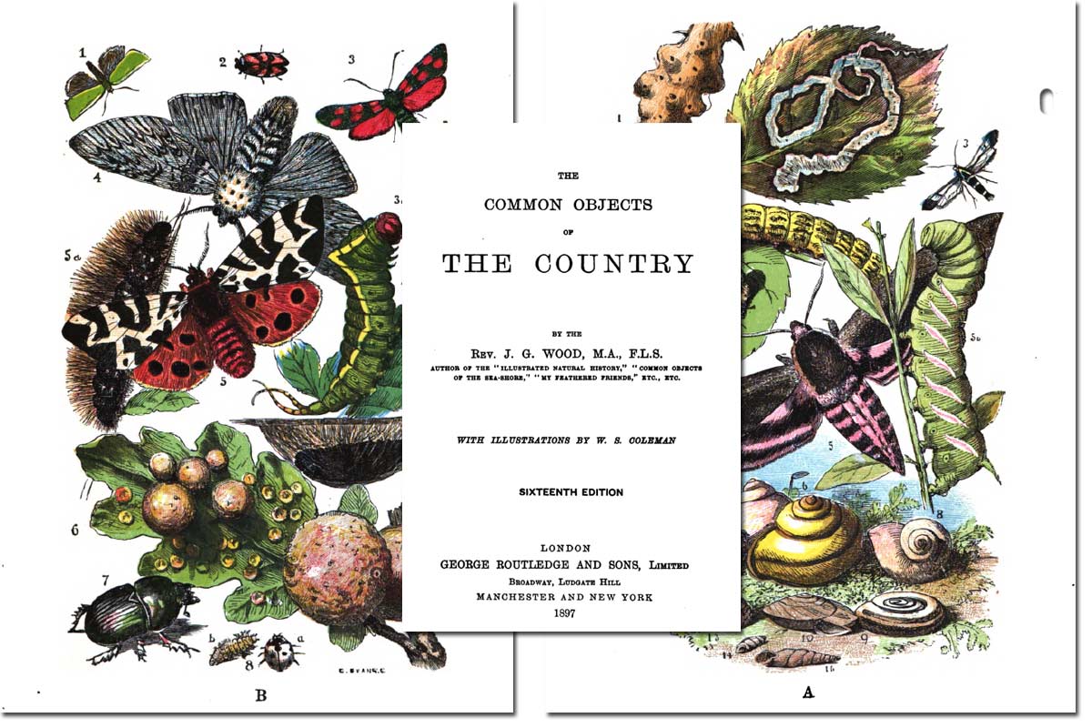 The Common Objects of the Country {Free eBook}