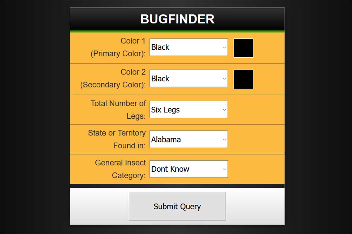 Insect Identification {Free Interactive}
