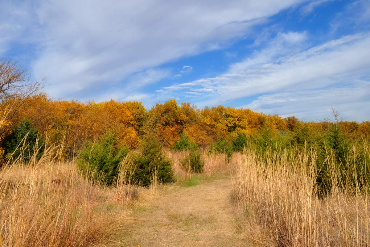 Frost, Robert: “The Road Not Taken”