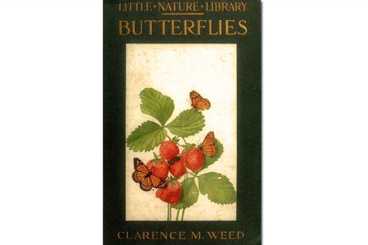Butterflies Worth Knowing ~ Free eBook