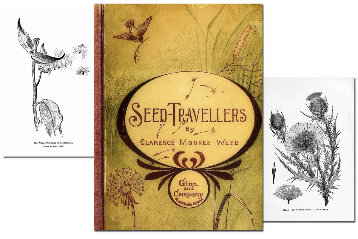 Seed-Travellers ~ Free eBook