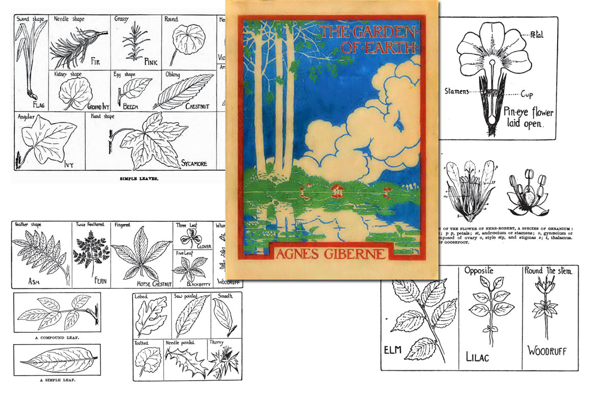 The Garden of the Earth