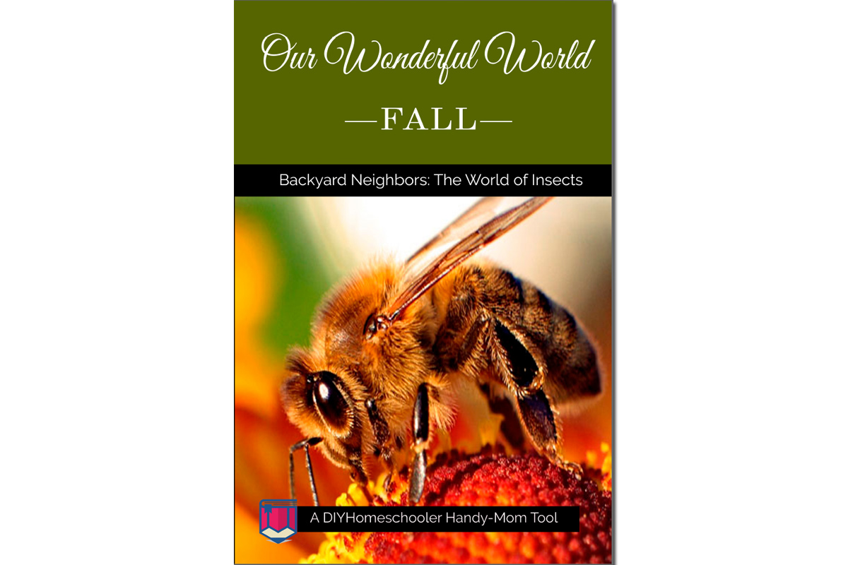 Our Wonderful World Fall ~ New Book