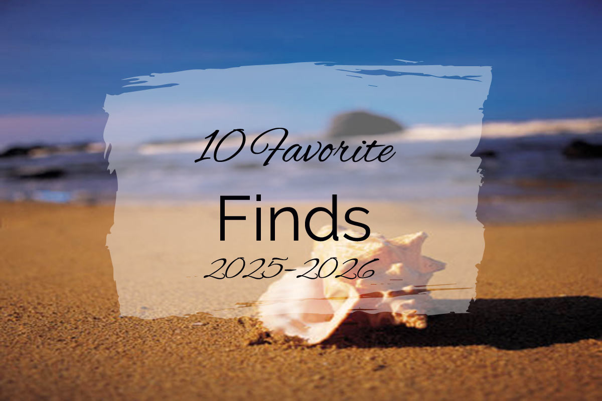 10 Favorite Finds ~ 2025–2026