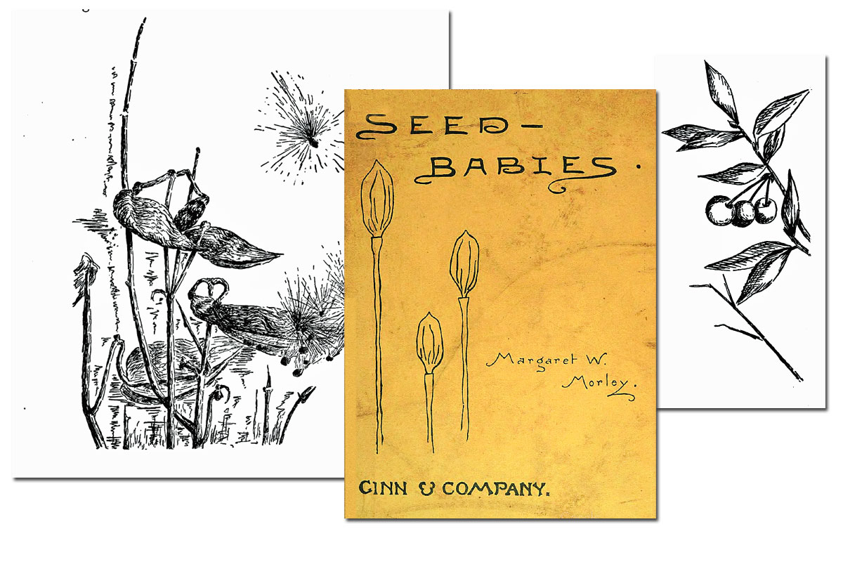Seed-Babies ~ Free eBook